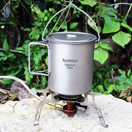 Aomiun Ultralight 750ml Titanium Pot Portable Titanium Water Mug Cup with Lid and Foldable Handle Outdoor Camping Cooking Picnic