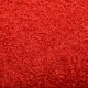 Doormat Washable Red 40x60 cm