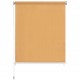 Outdoor Roller Blind 220x230 cm Beige