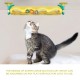 Cat Tracks Cat Toy Pet Interactive Toy Cat Scratching Tickle Toy with Catnip Glowing Balls