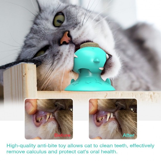 Cat Catnip Toys Interactive Cat Toy Licking Treats Toys Pig Nose Shape for Cats Teeth Cleaning Chewing Playing