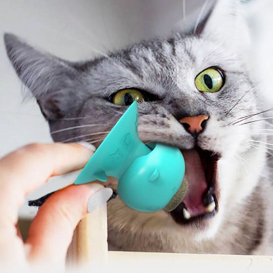 Cat Catnip Toys Interactive Cat Toy Licking Treats Toys Pig Nose Shape for Cats Teeth Cleaning Chewing Playing