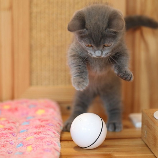 Smart Interactive Cat Toy Ball, Automatic Rolling Ball, USB Rechargeable Cat Light Toy, 360 Degree Self Rotating Ball for Pet Cat Dog, LED Lighting Cat Exercise Chaser Toy