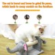 Cat Scratching Post Sisal-Covered Scratch Posts and Pads with Play Ball Durable Cat Scratcher Pole for Kittens and Cats