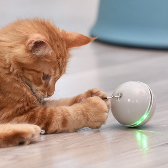 Pet Multicolor Lighting Cat Ball Plaything USB Charge Intelligent Multicolor Scrolling Pet Ball With Feather