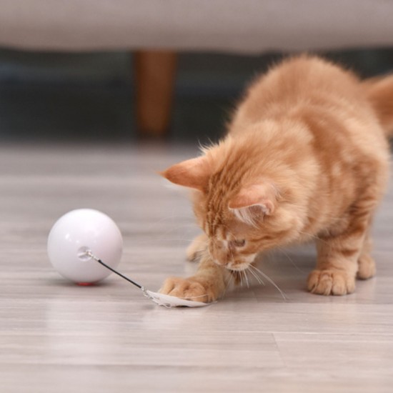 Pet Multicolor Lighting Cat Ball Plaything USB Charge Intelligent Multicolor Scrolling Pet Ball With Feather