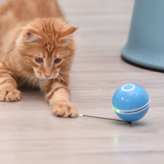 Pet Multicolor Lighting Cat Ball Plaything USB Charge Intelligent Multicolor Scrolling Pet Ball With Feather