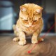 Tease Cat Pen Flashlight Toy Laser LED Pen Light USB Charging 3 Lighting Modes Creative Style