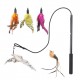 Interactive Cat Feather Toys Retractable Cat Charmer Wand and 5PCS Teaser   Refills Worm Bird Feathers Cat Toys for Indoor and Outdoor Cats Kitten Play Chase   Exercise