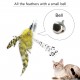 Interactive Cat Feather Toys Retractable Cat Charmer Wand and 5PCS Teaser   Refills Worm Bird Feathers Cat Toys for Indoor and Outdoor Cats Kitten Play Chase   Exercise