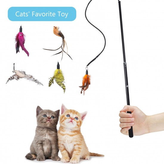 Interactive Cat Feather Toys Retractable Cat Charmer Wand and 5PCS Teaser   Refills Worm Bird Feathers Cat Toys for Indoor and Outdoor Cats Kitten Play Chase   Exercise