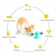 Interactive Windmill Cat Toys with Catnip : Cat Toys for Indoor Cats Funny Kitten Toys with LED Light Ball Suction Cup‖Cat Nip Toy for Cat chew Exercise