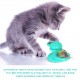 Interactive Windmill Cat Toys with Catnip : Cat Toys for Indoor Cats Funny Kitten Toys with LED Light Ball Suction Cup‖Cat Nip Toy for Cat chew Exercise