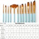 12Pcs Fine Detail Paint Brush Set Double Color Taklon Hair Paintbrushes for Miniature Acrylic Oil Watercolor Painting Beginner Student Artist Drawing Kits