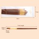 5pcs Paint Brushes Set Kit Round Pointed Tip Brushes with Nylon Hair for Artist Acrylic Aquarelle Gouache Watercolor Oil Painting for Great Art Drawing Supplies