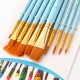 10pcs Watercolor Paint Brushes Set Nylon Hair Artist Paintbrushes with Fan Tip for Acrylic Oil Gouache Nail Body Face Rock Drawing Arts Crafts Supplies Painting