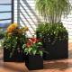  Garden Raised Beds 3 pcs Poly Rattan Black