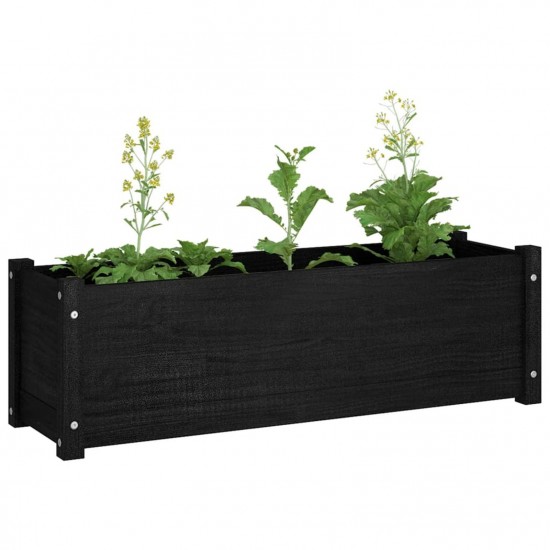 Garden Planters 2 pcs Black 100x31x31 cm Solid Pinewood