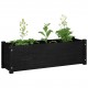 Garden Planters 2 pcs Black 100x31x31 cm Solid Pinewood