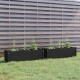 Garden Planters 2 pcs Black 100x31x31 cm Solid Pinewood