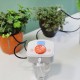 Automatic Drip Irrigation Emitter System Controller Batter-powered/USB-powered Programmable Watering Water Timer for Gardening Pot Plants Flowers with 10-meters 4/7