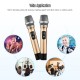 Portable UHF Wireless Microphone Mic System with 1 Receiver and 2 Handheld Microphones for Karaoke Business Meeting Speech Live Performance Tour Guiding