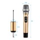 Portable UHF Wireless Microphone Mic System with 1 Receiver and 2 Handheld Microphones for Karaoke Business Meeting Speech Live Performance Tour Guiding