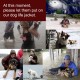 Dog Life Vest Camouflage Reflective Stripe Life Jacket Floating Coat for Big Size Dogs Swimming Safety