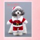 Santa Claus Dog Costume Christmas Pets Clothes Puppy Christmas Coat with Hat Cute Warm Coat Dog Presents