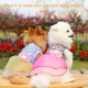 Dog Dress Dog Skirt Dog Floral Skirt Elegant Summer Dress for Small Medium Large Dogs Pets