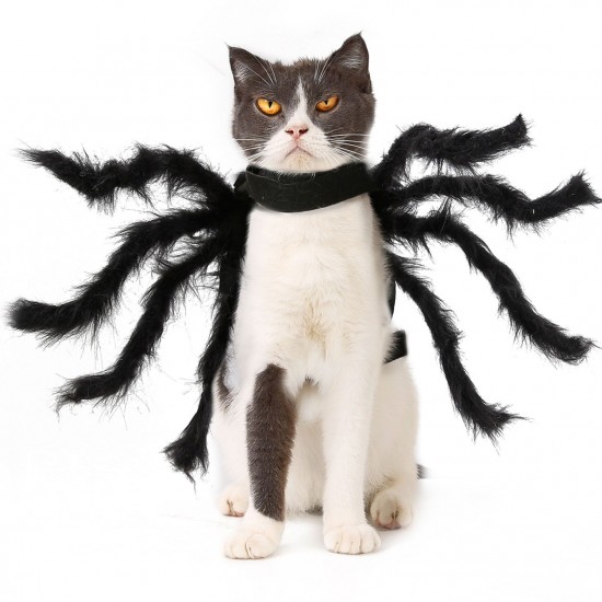 Halloween Dogs Cats Spider Costume Pet Party Outfits for Small Dogs Cats