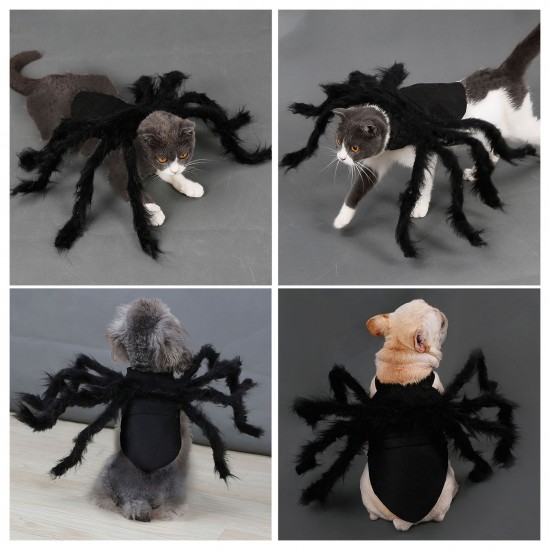 Halloween Dogs Cats Spider Costume Pet Party Outfits for Small Dogs Cats