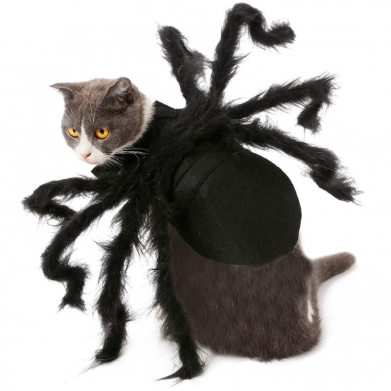 Halloween Dogs Cats Spider Costume Pet Party Outfits for Small Dogs Cats