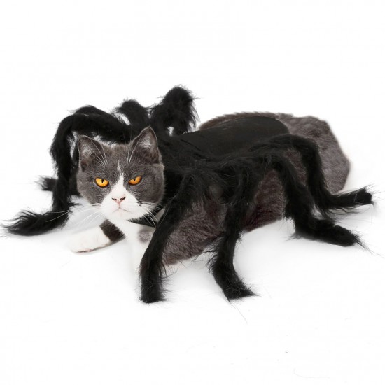 Halloween Dogs Cats Spider Costume Pet Party Outfits for Small Dogs Cats