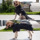 Dog Winter Coat Waterproof Reflective Warm Fleece Jacket for Dog