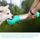 Pet Water Bottle for Walking Outdoor Portable Dog Travel Water Bottle with Food Container Combo Pet Water bottle 500ML Detachable for Drinking and Eating Suitable for Cats and Puppy