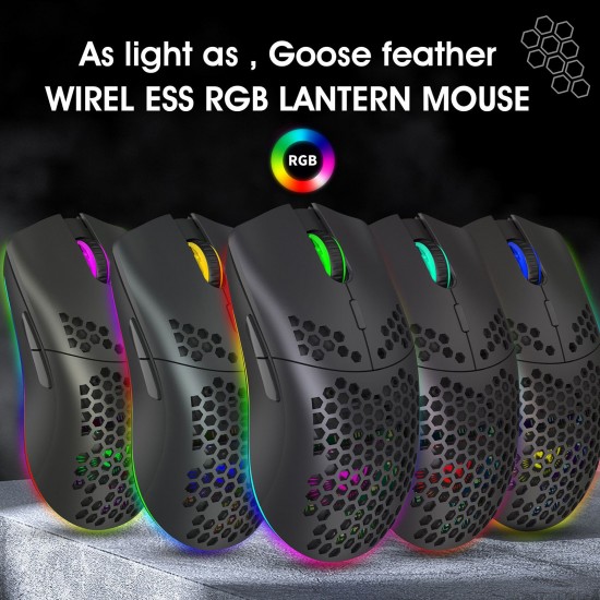 T66 RGB 2.4G Wireless Gaming Mouse RGB Lighting Charging Mouse with Adjustable DPI Ergonomic Design for Desktop Laptop Black