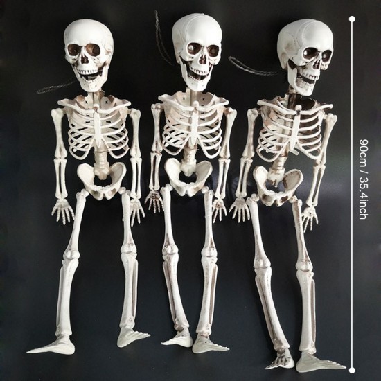 35’’ Halloweens Skeleton Full Body Realistic Human Bones with Movable Joints Posable Joints Pose Skeleton Prop Decoration