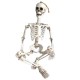 35’’ Halloweens Skeleton Full Body Realistic Human Bones with Movable Joints Posable Joints Pose Skeleton Prop Decoration