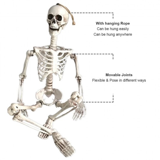 35’’ Halloweens Skeleton Full Body Realistic Human Bones with Movable Joints Posable Joints Pose Skeleton Prop Decoration