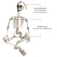 35’’ Halloweens Skeleton Full Body Realistic Human Bones with Movable Joints Posable Joints Pose Skeleton Prop Decoration