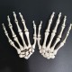 35’’ Halloweens Skeleton Full Body Realistic Human Bones with Movable Joints Posable Joints Pose Skeleton Prop Decoration